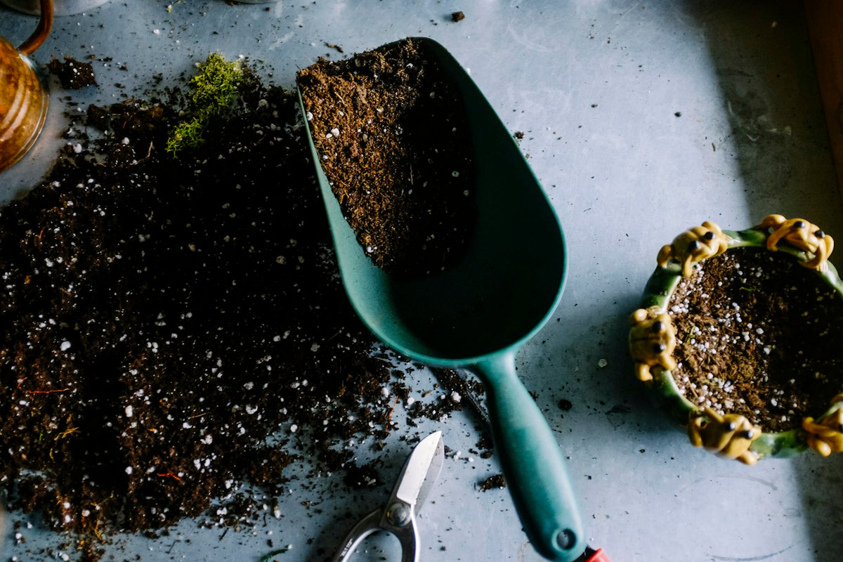 Garden & Outdoor collection inspiration — ROYAL SOUQ